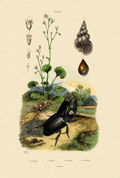 Saksafon, 1833-39 by French School